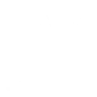 icône