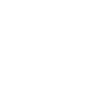 icône